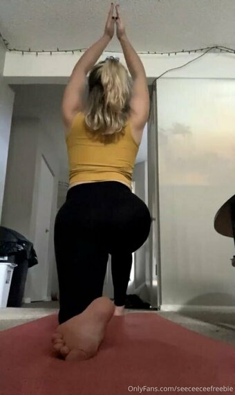seeceeceefreebie Nude Leaks Photo 29