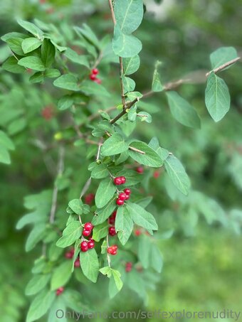 selfexplorenudity Nude Leaks Photo 13