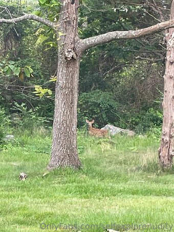 selfexplorenudity Nude Leaks Photo 16