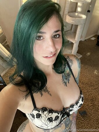 sentientbees2 Nude Leaks Photo 5