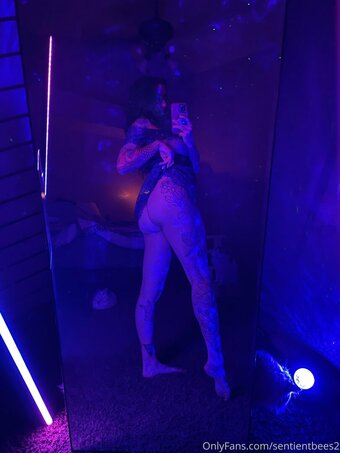sentientbees2 Nude Leaks Photo 7