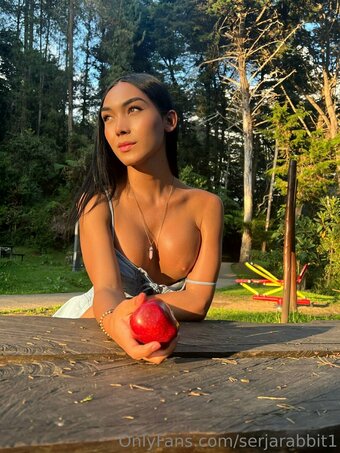 serjarabbit / serjarabbit19 Nude Leaks OnlyFans Photo 18