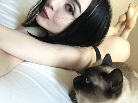 ShadowShine / shadow_shine_entertainment_ / shadowshine5 Nude Leaks OnlyFans Photo 5