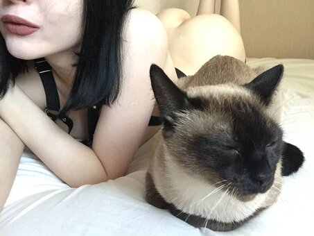 ShadowShine / shadow_shine_entertainment_ / shadowshine5 Nude Leaks OnlyFans Photo 6