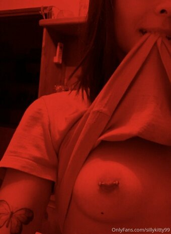 sillykitty99 Nude Leaks Photo 2