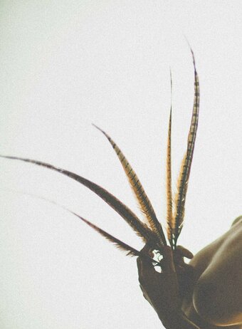 simonsaysarah / Sarah Nude Leaks Photo 1