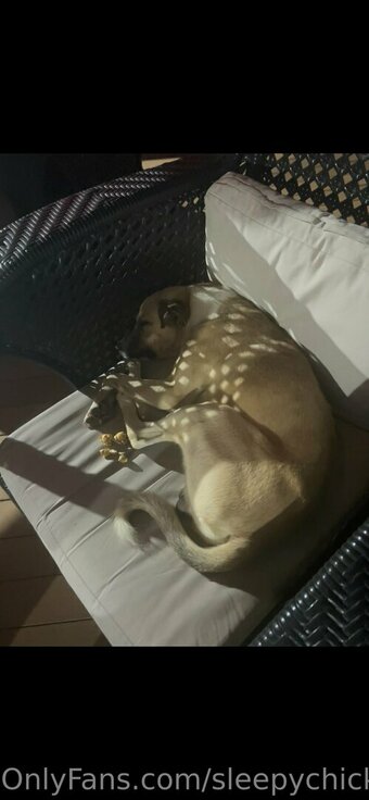 sleepychick11 sleepychick11