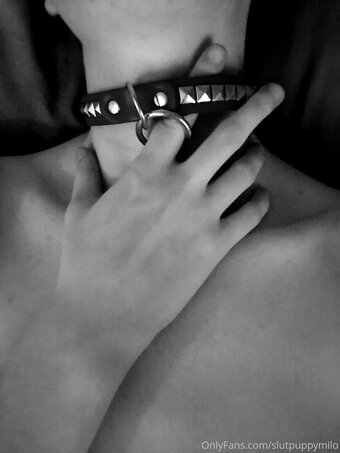 slutpuppymilo slutpuppymilo