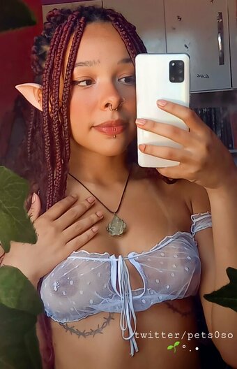 Sofia Bun / pets0so / petsoso / sofiabun Nude Leaks OnlyFans Photo 10