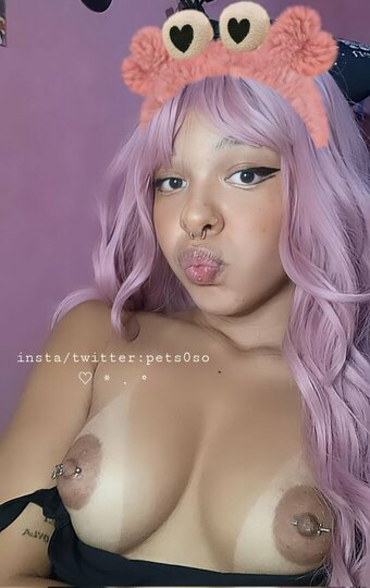 Sofia Bun / pets0so / petsoso / sofiabun Nude Leaks OnlyFans Photo 12