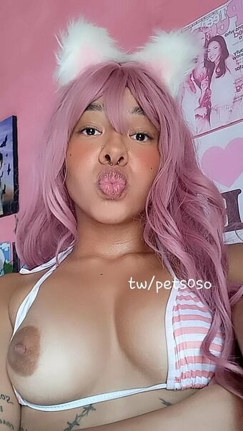 Sofia Bun / pets0so / petsoso / sofiabun Nude Leaks OnlyFans Photo 20