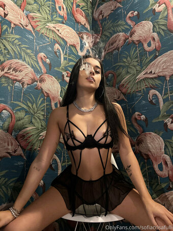 Sofia Crisafulli / Sofiacrisafulli / sofiacrisafullii Nude Leaks OnlyFans Photo 6