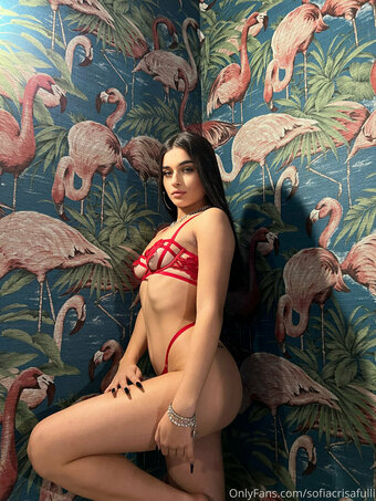 Sofia Crisafulli / Sofiacrisafulli / sofiacrisafullii Nude Leaks OnlyFans Photo 10