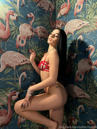 Sofia Crisafulli / Sofiacrisafulli / sofiacrisafullii Nude Leaks OnlyFans Photo 16