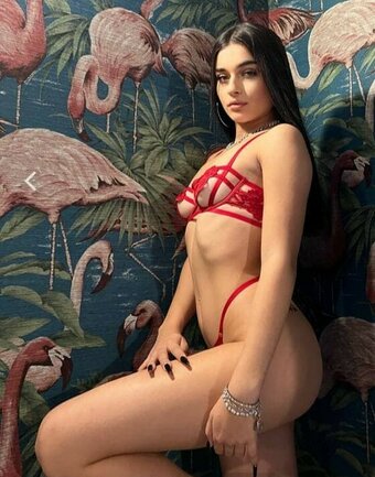 Sofia Crisafulli / Sofiacrisafulli / sofiacrisafullii Nude Leaks OnlyFans Photo 27