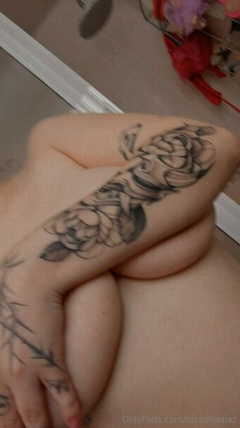 Sofia Diaz / https: / nicsofiadiaz Nude Leaks OnlyFans Photo 28