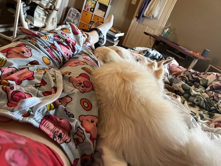 sofiemox / https: / sofiemox_xo Nude Leaks OnlyFans Photo 28