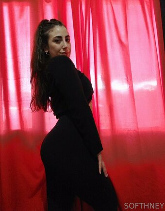 softhney Nude Leaks Photo 16