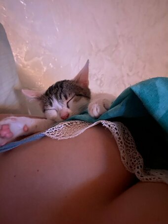 Sofuckingood13 / Sofuckingood_ Nude Leaks Photo 12