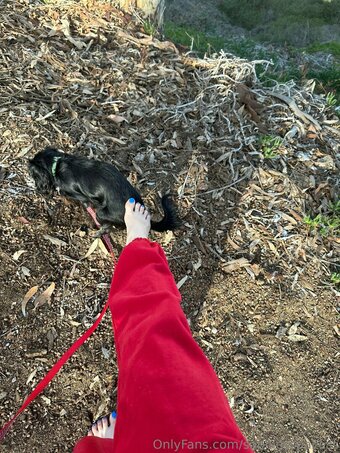 Sophiesspaces / sophiesspace / sophiesspacess Nude Leaks OnlyFans Photo 18