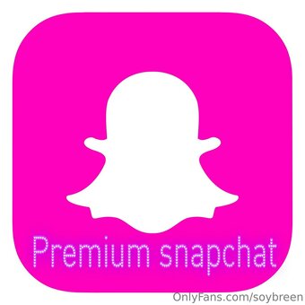 soybreen Nude Leaks Photo 16