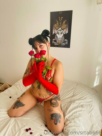 srtab666 Nude Leaks Photo 25