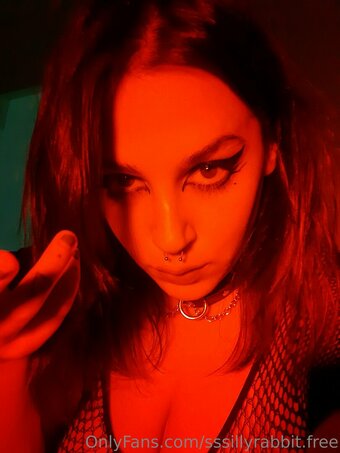 sssillyrabbit