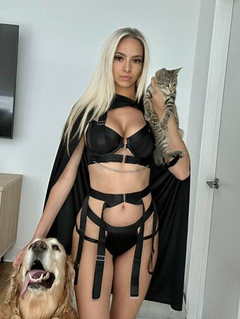 studiostassi / Stassi / stassischroeder Nude Leaks OnlyFans Photo 4