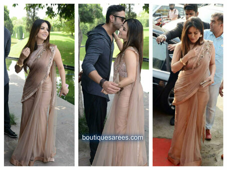 Sunnyleone Nude Leaks Photo 13