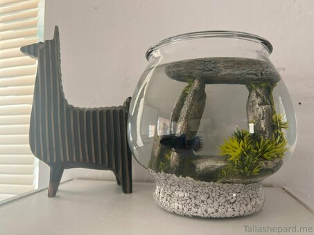 taliashepard Nude Leaks Photo 5