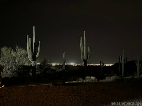 taliashepard Nude Leaks Photo 14