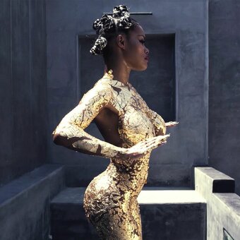 teyanataylor Nude Leaks Photo 4
