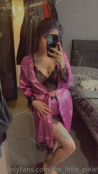 the_little_pixie Nude Leaks OnlyFans Photo 4