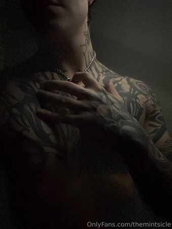 themintsicle Nude Leaks Photo 12