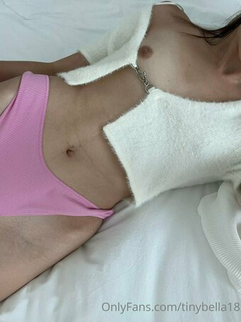 Tinybella18 / bellahadid Nude Leaks OnlyFans Photo 20