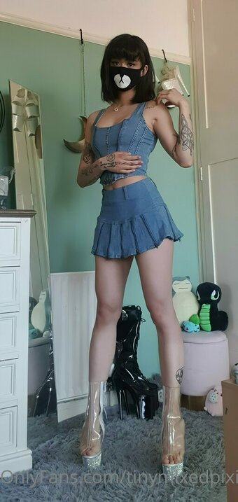 tinymixedpixie Nude Leaks Photo 9