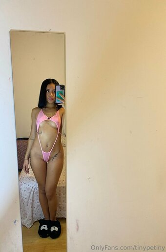 tinypetiny Nude Leaks OnlyFans Photo 25