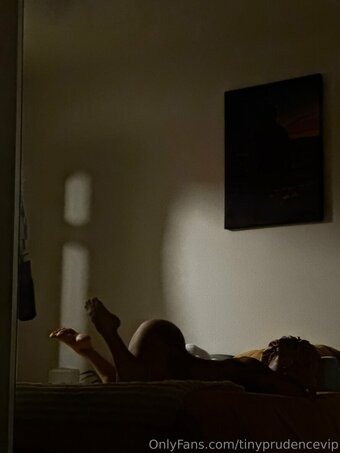 tinyprudencevip Nude Leaks Photo 25