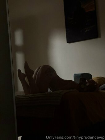 tinyprudencevip