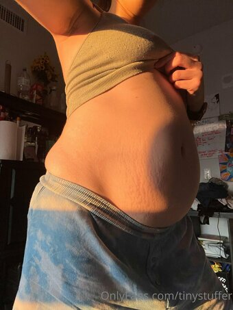 tinystuffer Nude Leaks Photo 21