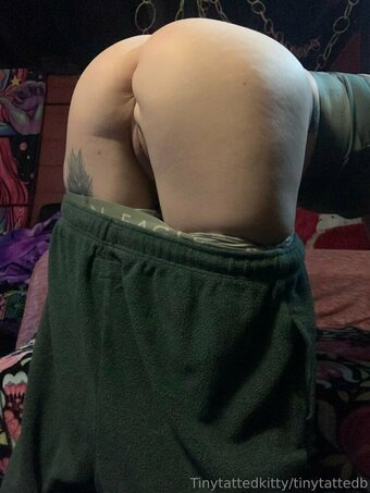 tinytattedkitty Nude Leaks Photo 19