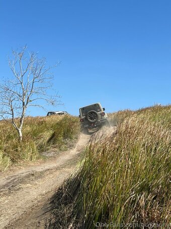 tinytauny Nude Leaks Photo 28