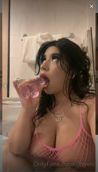 Tinyvel / tinyvelvet Nude Leaks OnlyFans Photo 13