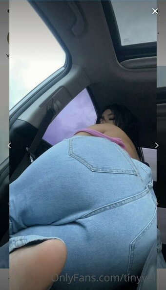 Tinyvel / tinyvelvet Nude Leaks OnlyFans Photo 16
