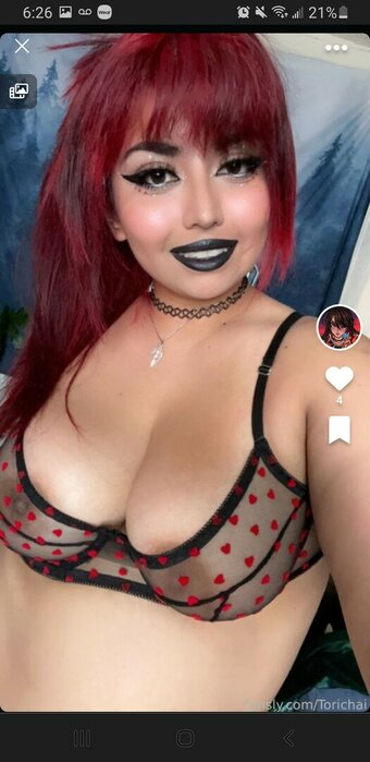 Torichai / xtorichai Nude Leaks Photo 14