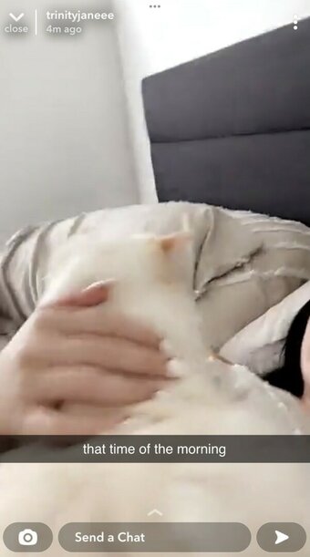 Trinity Jane / trinityjanex Nude Leaks OnlyFans Photo 6