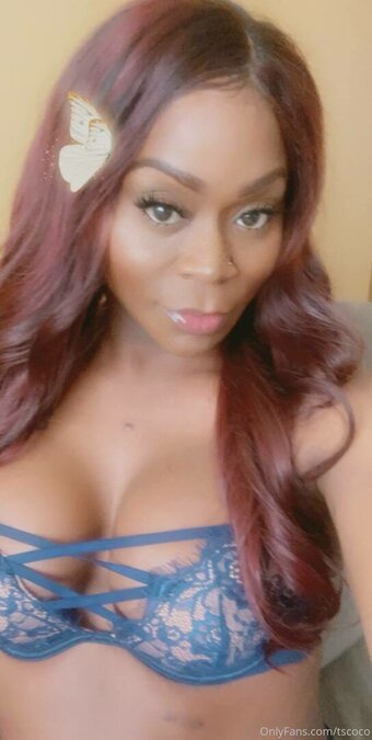 TS Coco / TSCoco / ts__coco Nude Leaks OnlyFans Photo 1