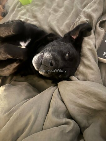 vanessawildly Nude Leaks Photo 10