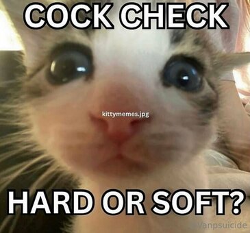 vanplive Nude Leaks Photo 17