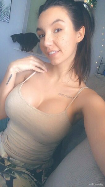 Willow Wisp / Kirbee / Kirbyy_ / will_o_wisps / willerwisp Nude Leaks OnlyFans Photo 14